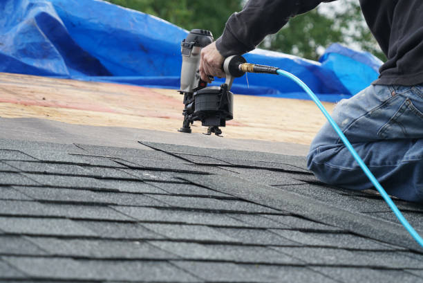 Best Roof Maintenance and Cleaning  in Wales, WI